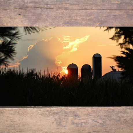 farm silos at dawn