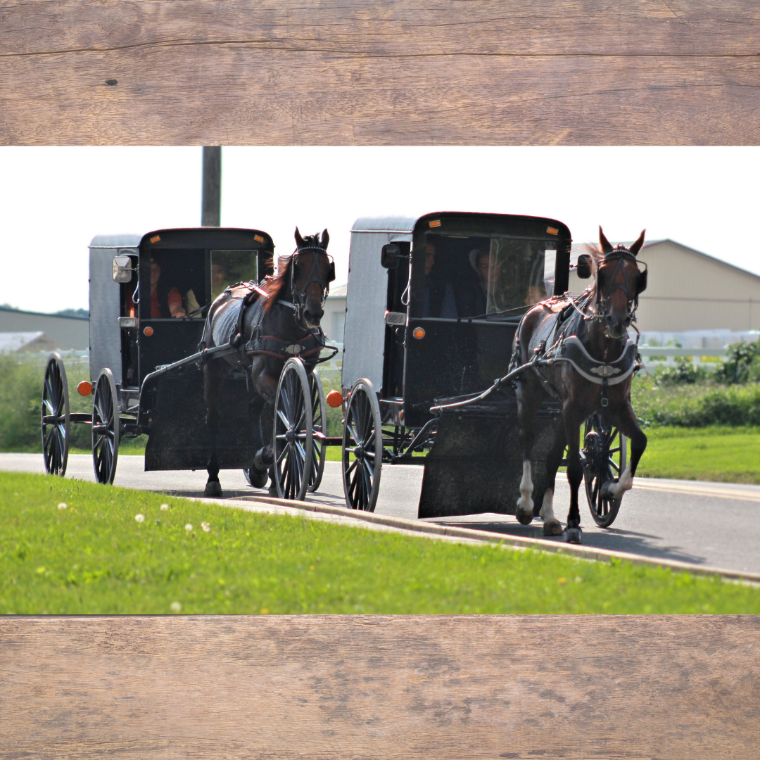 Life in Lancaster County: Amish Weddings