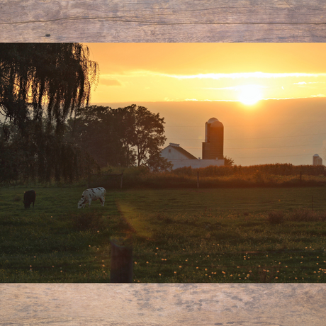 Life in Lancaster County: Summer Sights