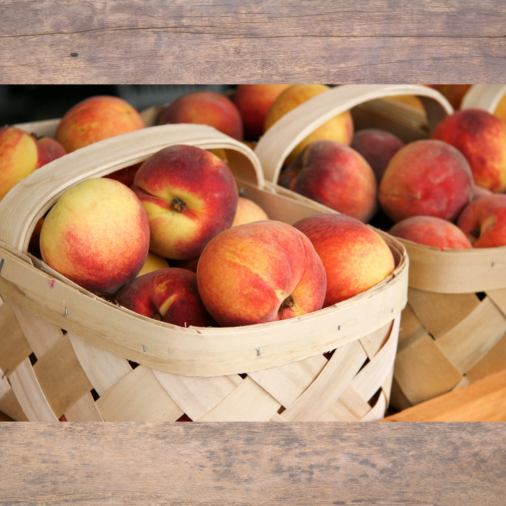 Life in Lancaster: Peach Orchards