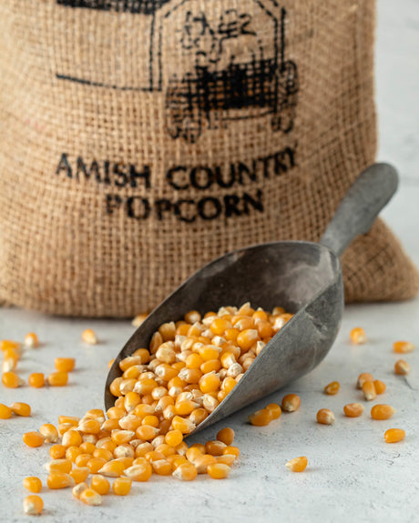 a scoop full of popcorn kernels 
