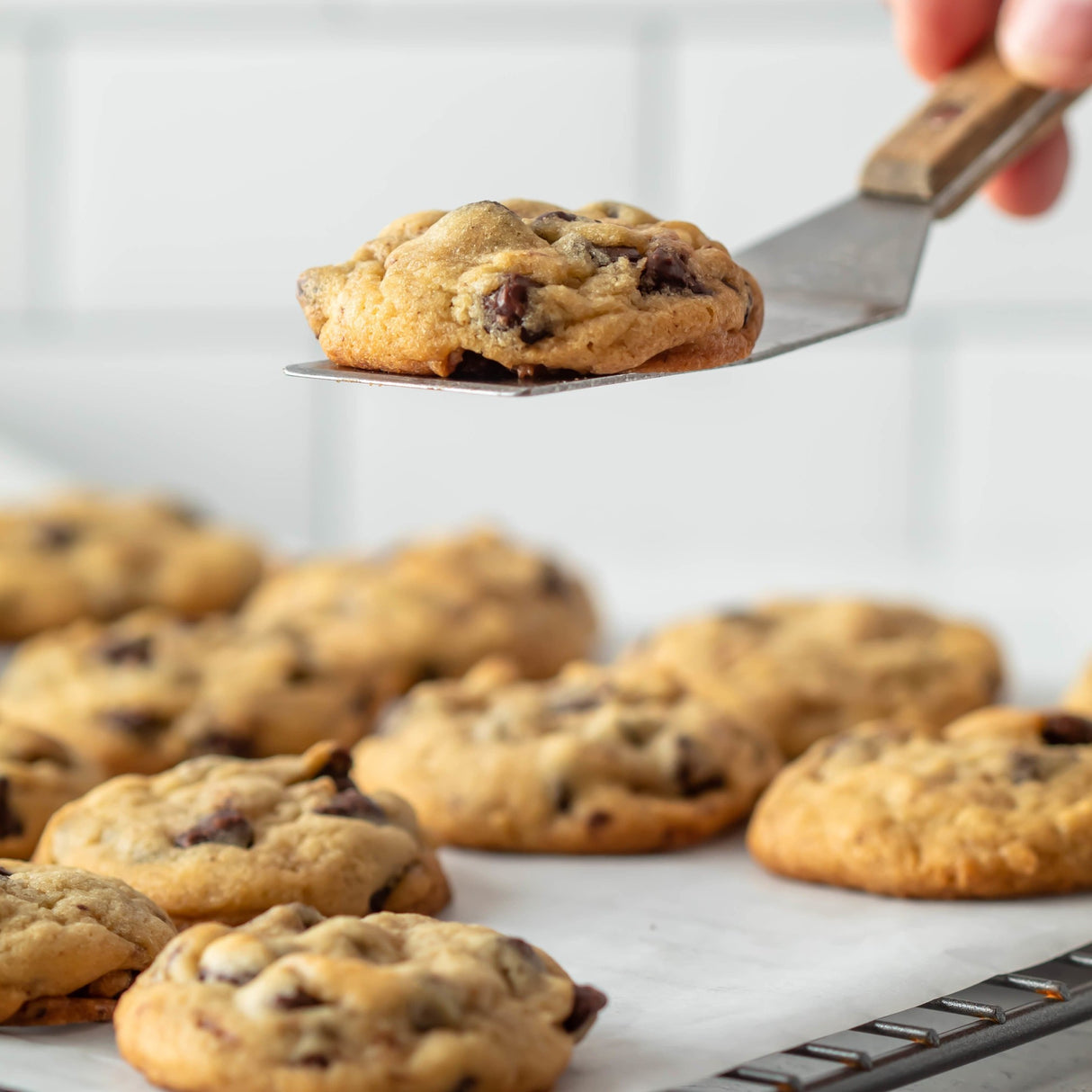 Chocolate Chip Cookies - Stoltzfus Meats